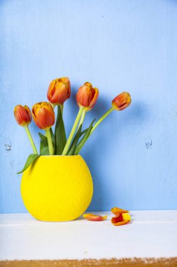 Vazoda Sarı laleler 