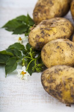 Yaprak ve çiçek ile ham patates