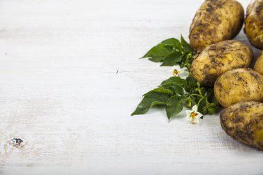 Yaprak ve çiçek ile ham patates