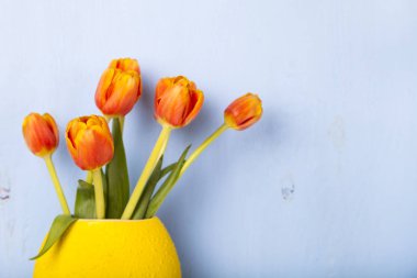 Vazoda Sarı laleler 