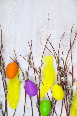 Paskalya yumurtaları, tüyler ve willow