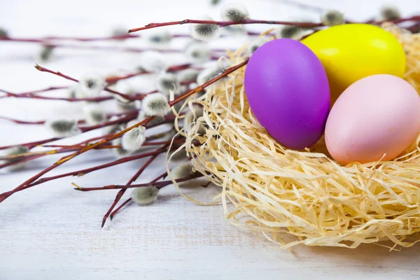 Pasen eieren in het nest en de wilg — Stockfoto
