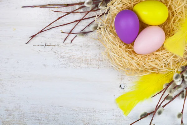 Пасхальные яйца в гнезде и иве — стоковое фото