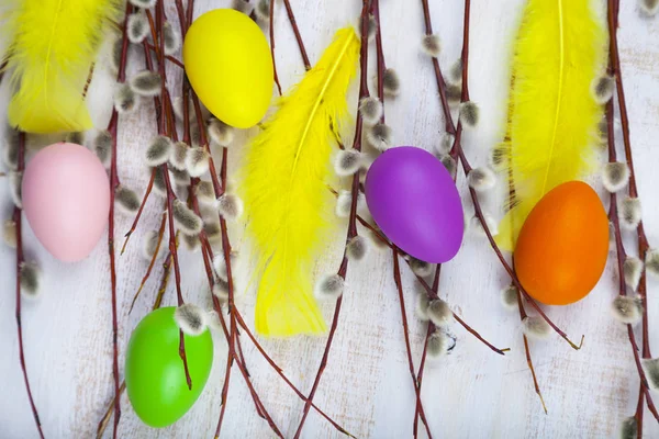 Easter eggs, feathers and willow — Stock Photo, Image