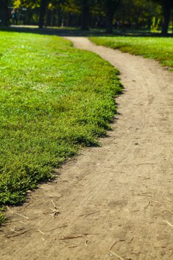 Parkta yürüyüş yolu. Yakın plan.. 