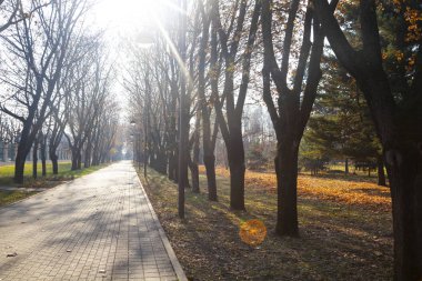 Güzel sonbahar manzarası.