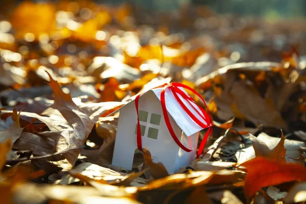 Dům na podzim listí. — Stock fotografie