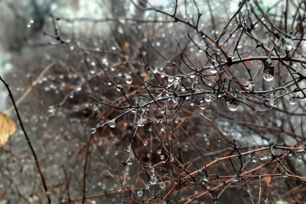 市内の秋の雨. — ストック写真