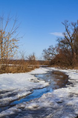 İlkbaharın başında orman ve tarla. P