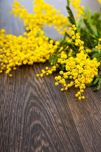 Yellow mimosa on a wooden background. — Stock Photo, Image