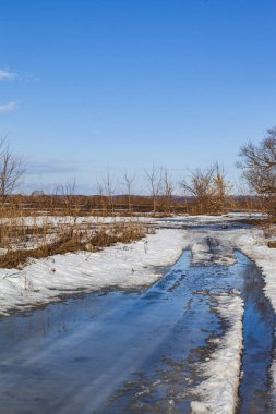 İlkbaharın başında orman ve tarla. P