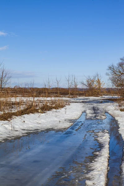 Wald und Feld im zeitigen Frühjahr. p — Stockfoto