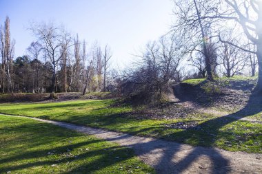 Güneşli bir günde bahar parkı. Güzel manzara.