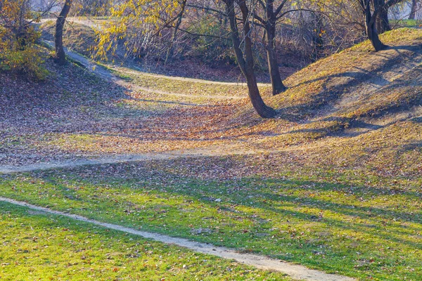 Beautiful Autumn Park Beautiful Fall Landscape Walkway — Stock Photo, Image
