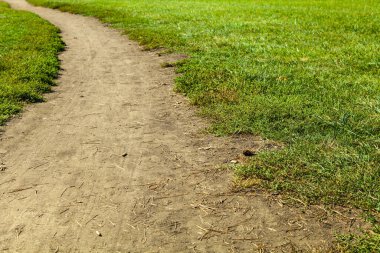 Toprak pist ve çimenlik yakın plan. Yaz manzarası.