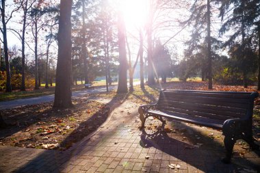 Güzel bir sonbahar parkı. Güzel sonbahar manzarası. Park bankında.