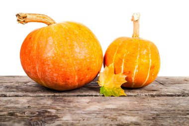 Beyaz arka planda iki balkabağı ve sonbahar akçaağaç yaprağı.