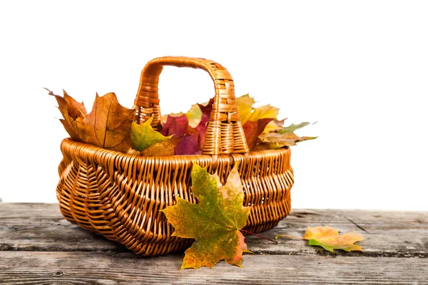 Basket Maple Autumn Leaves Wooden Table Isolated White Background — Stock Photo, Image