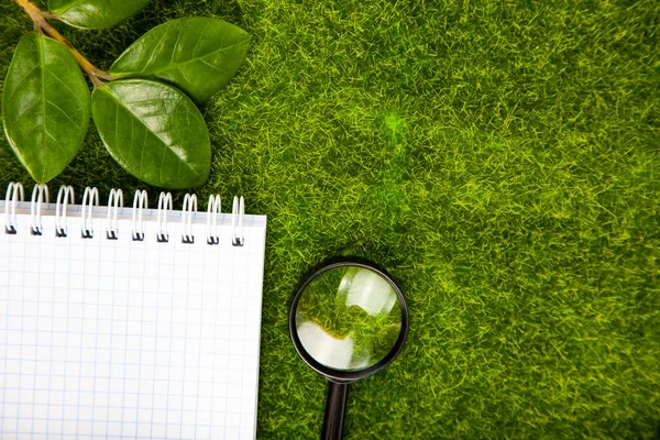 Lupa Plantas Cuaderno Sobre Hierba Verde — Foto de Stock