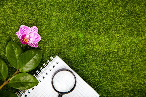 绿草上的放大镜 植物和笔记本 — 图库照片