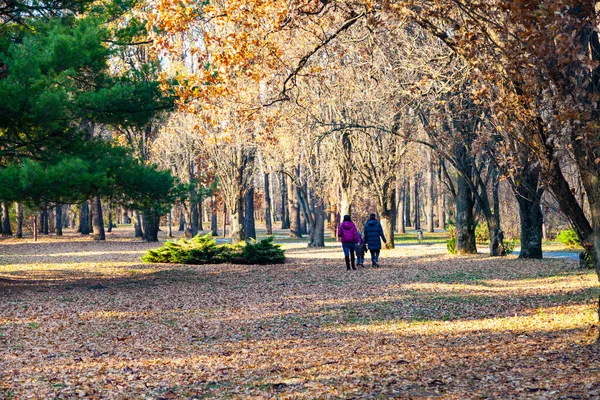 Family Walks Autumn Park Beautiful Fall Landscape — Stock Photo, Image