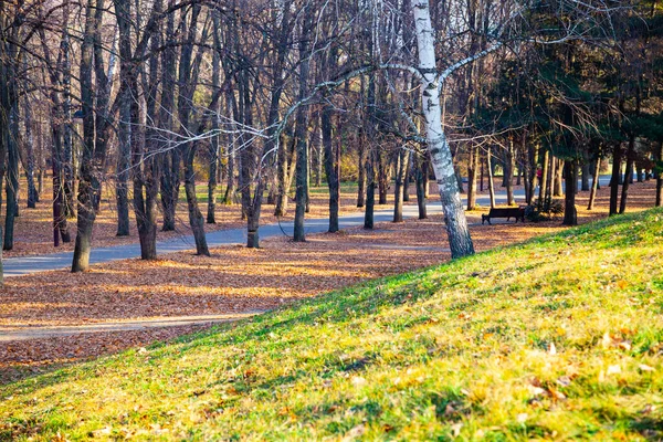 Beautiful Autumn Park Beautiful Fall Landscape — Stock Photo, Image