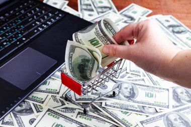 Kadın eli bir alışveriş arabasına dolar koyar. Laptop ve dolarları masaya koyun..