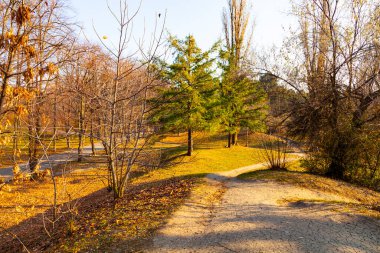 Güzel bir sonbahar parkı. Güzel sonbahar manzarası.