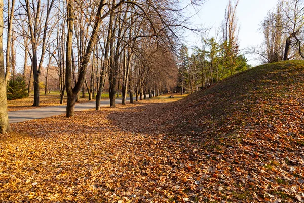 Beautiful Autumn Park Beautiful Fall Landscape — Stock Photo, Image
