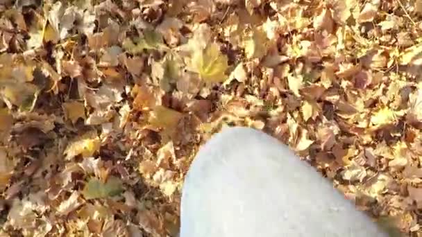 穿着牛仔裤和运动鞋的女孩走在秋天落叶上 — 图库视频影像
