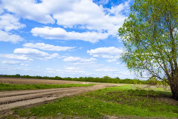 Schöne Frühlingslandschaft Mit Feldweg Sonniger Tag — Stockfoto