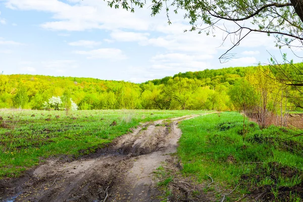 Bellissimo Paesaggio Primaverile Con Una Strada Sterrata Giornata Sole — Foto Stock