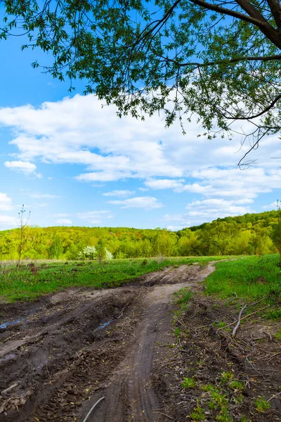Beautiful Spring Landscape Dirt Road Sunny Day — Stock Photo, Image