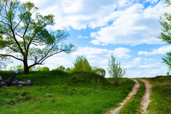 Hermoso Paisaje Primavera Con Camino Tierra Día Soleado — Foto de Stock