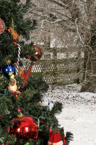 Weihnachtsbaum im Urlaub — Stockfoto