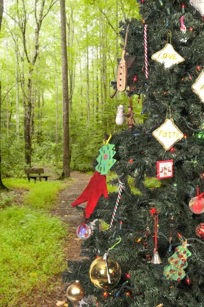 Árbol de Navidad — Foto de Stock