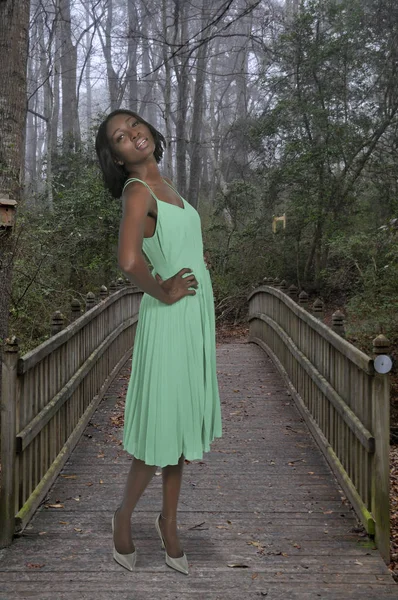 美しいアフリカ系アメリカ人女性 — ストック写真
