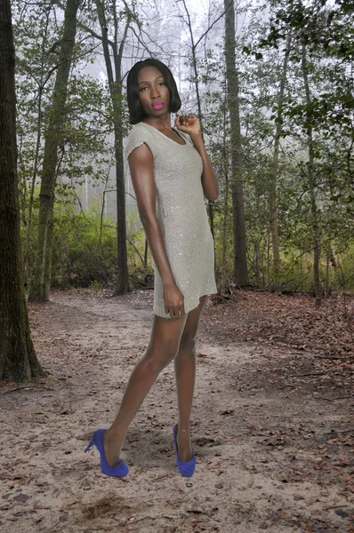 아름다운 아프리카계 미국 여성 — 스톡 사진