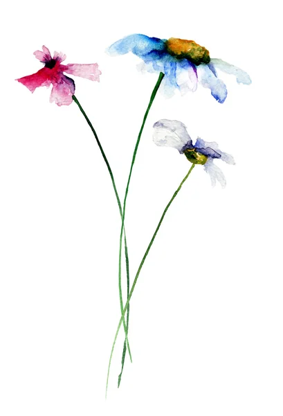 Gestileerde bloemen aquarel illustratie — Stockfoto