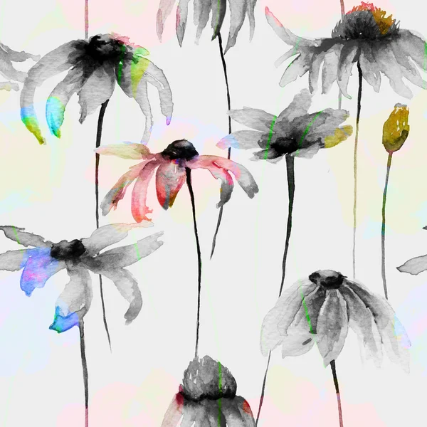 Padrão sem costura com belas flores Daisy — Fotografia de Stock