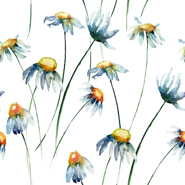 Seamless wallpaper with Camomile flowers — Stock Photo, Image