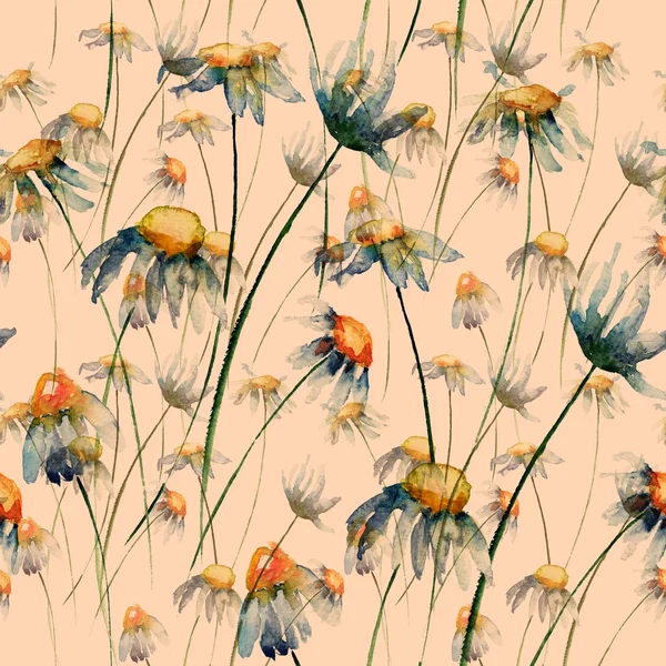 카밀레 꽃으로 완벽 한 벽지 — 스톡 사진
