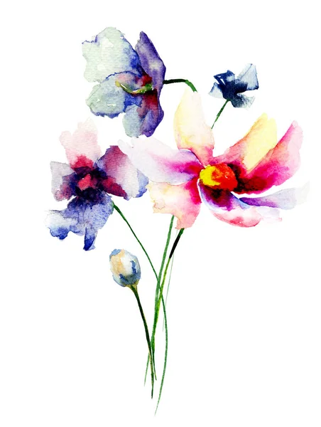 Decoratieve bloemen Gerber — Stockfoto