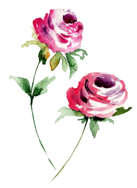 Rode rozen, aquarel schilderij — Stockfoto