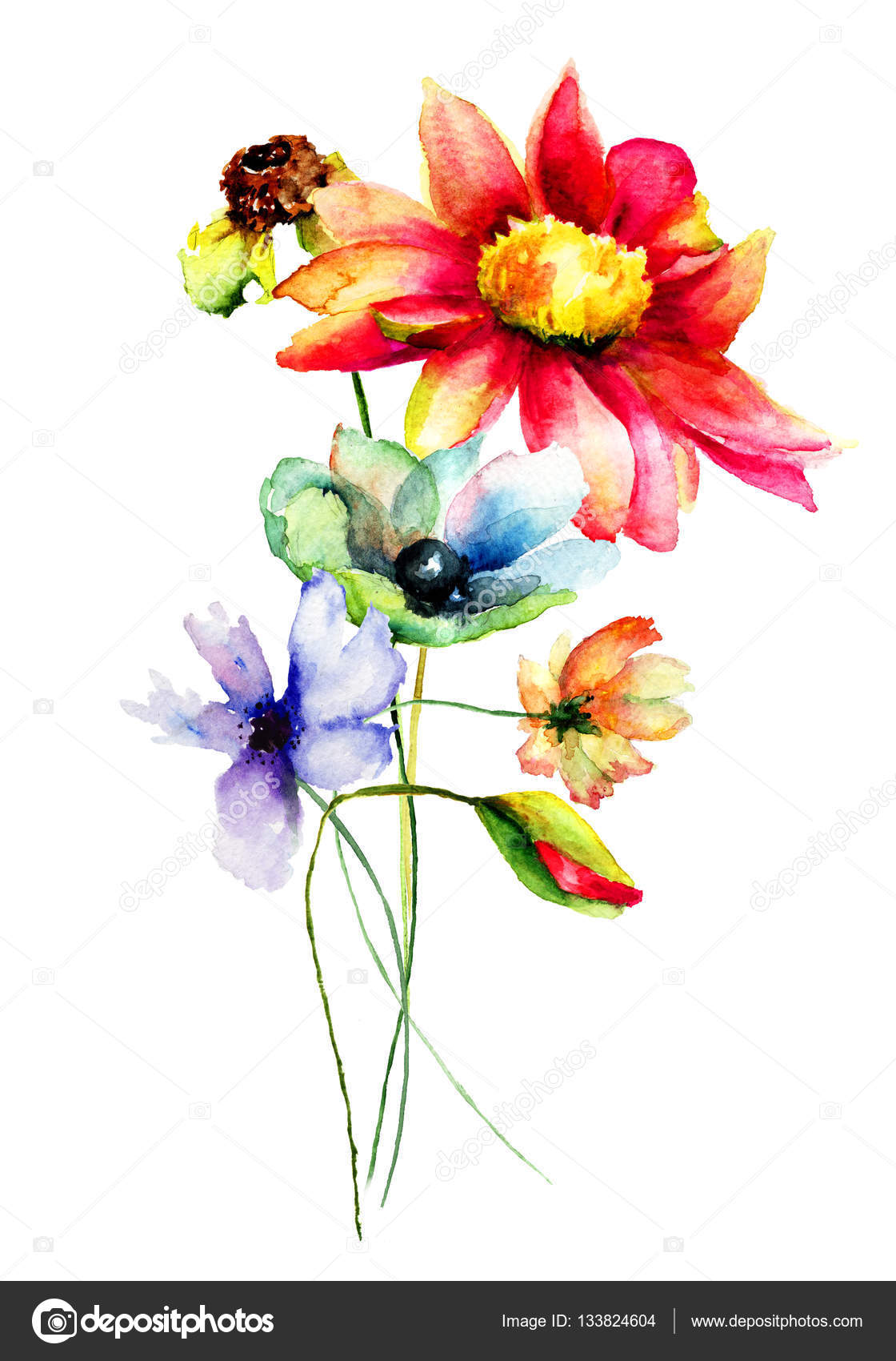 Fleurs Stylisées Illustration Aquarelle Photographie