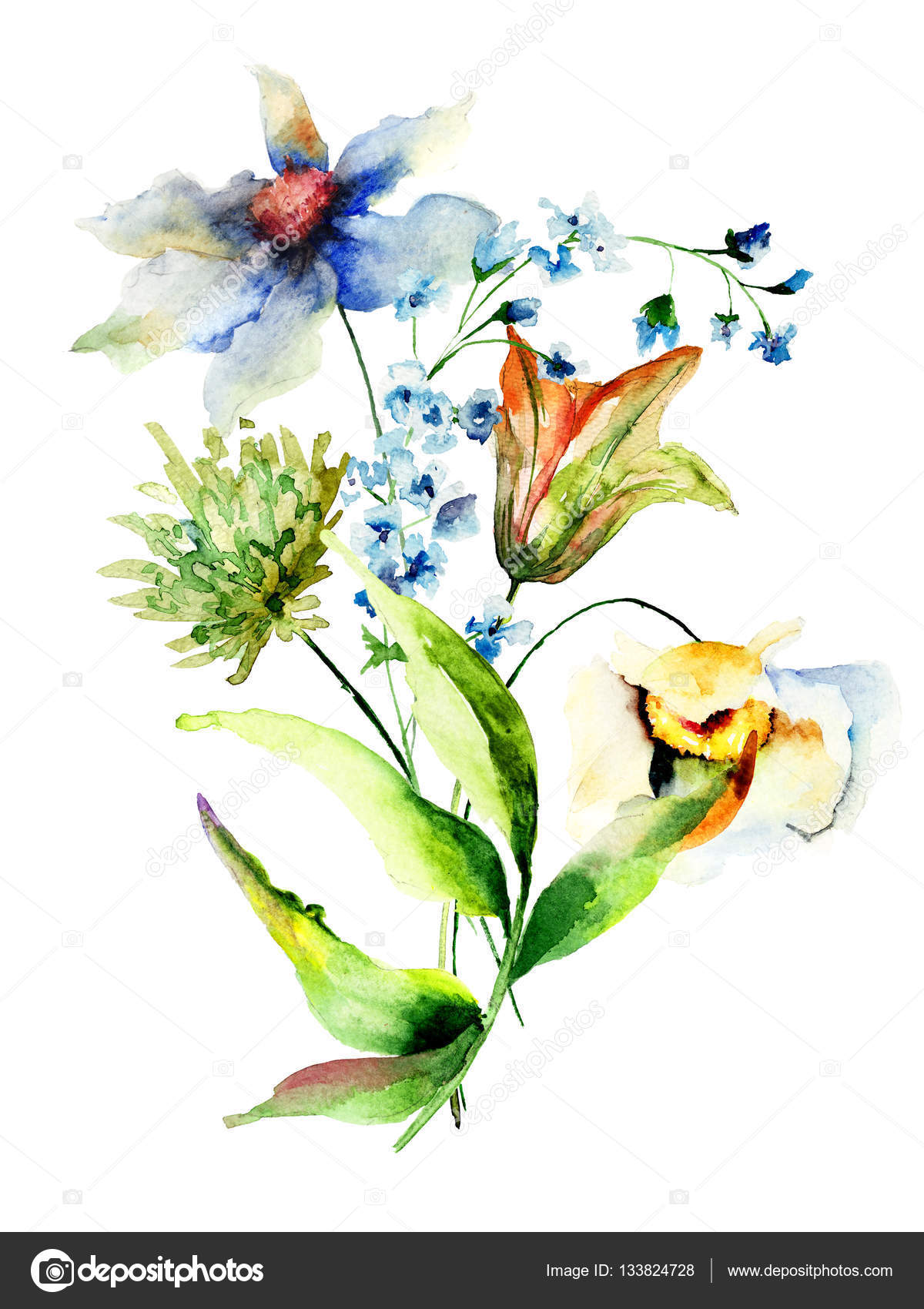 装飾的な花 水彩イラスト ストック写真 C Jershova