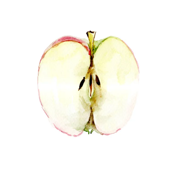 Половина яблука, акварельна ілюстрація — стокове фото