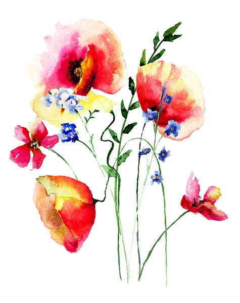 Flores de amapola roja —  Fotos de Stock