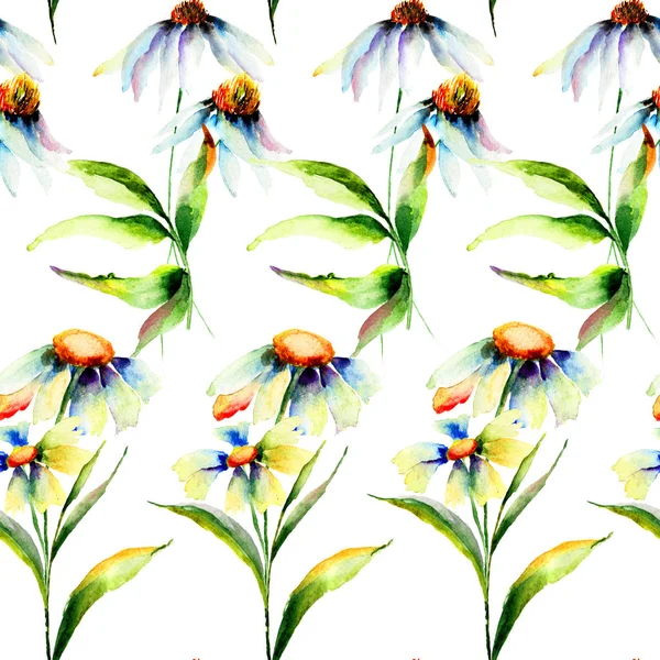 Bezszwowe tapeta z kwiatów rumianku — Zdjęcie stockowe