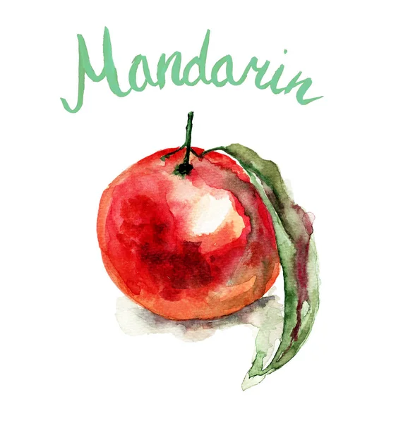 Ilustração aquarela de fruta mandarim — Fotografia de Stock